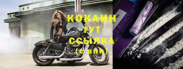 соль курить ск Лагань