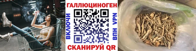 Псилоцибиновые грибы MAGIC MUSHROOMS  Бобров 